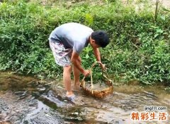 梦见抓鱼是什么征兆，女人梦见在水里抓大鱼