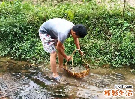 梦见抓鱼是什么征兆，女人梦见在水里抓大鱼