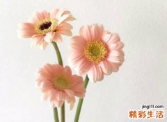 钻石王牌灿烂的阳光网名，简单开心的阳光微信名