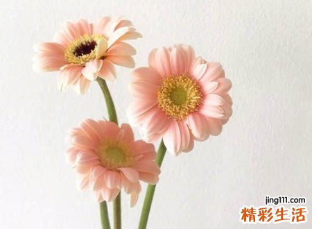 钻石王牌灿烂的阳光网名，简单开心的阳光微信名