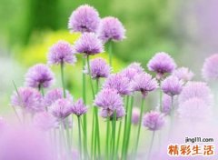 清雅秀丽的古风名字，唯美网名在诗情画意中度过一生