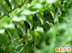 看淡一切释然的成熟昵称，微信网名经历繁华才沉淀人生