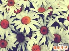 最不易遗忘的个性昵称，简单不过时的网名大全