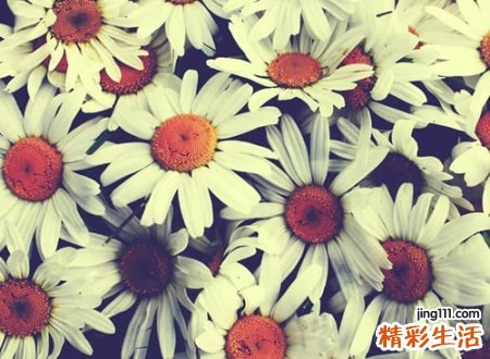 最不易遗忘的个性昵称，简单不过时的网名大全