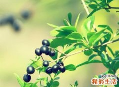 一抹曾经搁浅了记忆的怀旧网名，独一无二的经典快手昵称