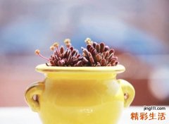 大吉大利财源滚滚的网名，微信昵称最聚财财运亨通