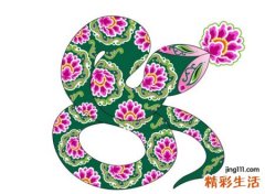 女人晚上梦见蛇好不好，女人梦见蛇预示着什么