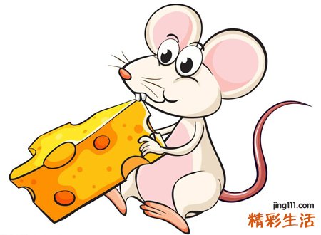 梦到老鼠是什么意思，女人梦见成群的老鼠