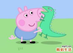 梦见猪是什么意思，女人梦见小猪仔
