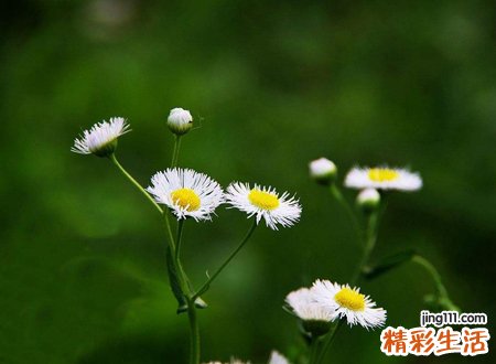 做梦梦到亲人去世是什么意思，梦见家里人去世了好吗