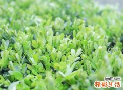 一切事都遵从自己内心的快手昵称，人生要学会沉淀的成熟网名