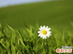 梦到亲人去世是什么意思，做梦梦见健在的外婆去世了