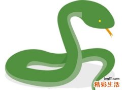 做梦梦到蛇，女人梦见到处都是蛇很害怕