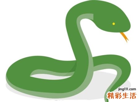 做梦梦到蛇，女人梦见到处都是蛇很害怕