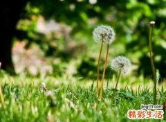 释放压抑的心情网名，极速快手昵称减压释负