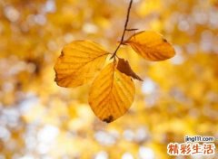感悟人心现实凉薄的网名，微信昵称精辟透彻有深意