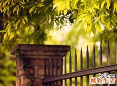 余光一瞥满眼尽是温柔的微信网名，美的让人心动的微信昵称