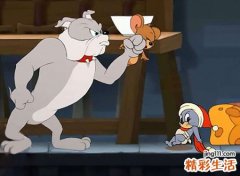 梦见好多老鼠满地跑，女人梦见老鼠什么征兆