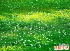 高雅的四字网名，高雅大气的4个字简短昵称