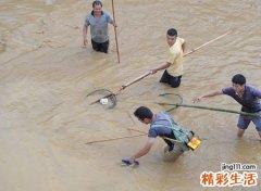 梦见鱼是什么意思，女人梦见捞很多活鱼