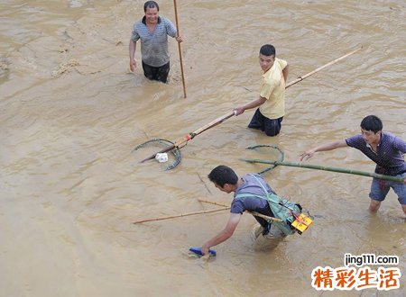 梦见鱼是什么意思，女人梦见捞很多活鱼