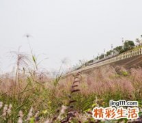 男孩子qq网名，最新文艺的qq男生昵称