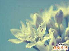 心伤了人很累的网名，内心伤感的悲伤快手昵称