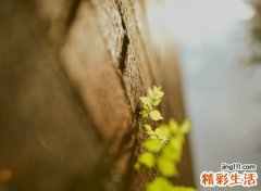 心累的微信网名，孤独心累的微信感性昵称