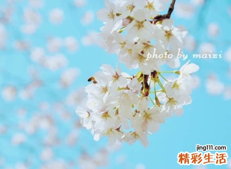 心情平静又乐观的网名，阳光正能量的微信名字