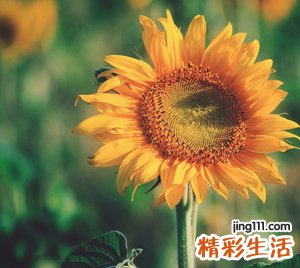 qq男网名，经典最潮的qq个性昵称