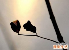 梦见自己的朋友去世死了自己痛哭流涕