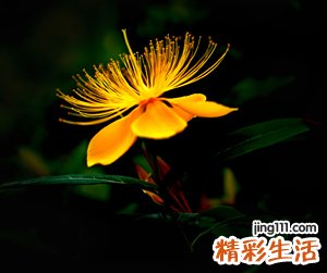 qq非主流男网名，非主流昵称男生超拽够劲爆
