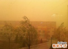 女人梦见沙尘暴刮风尘土飞扬