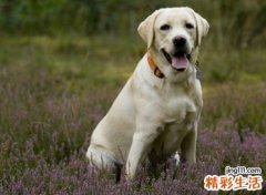 独一无二的微信群网名最火吸引人，有趣逗乐的群名称