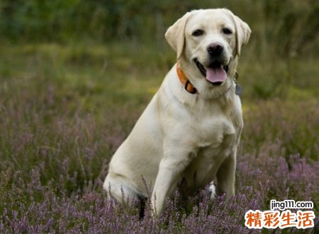 独一无二的微信群网名最火吸引人，有趣逗乐的群名称