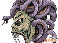梦见很多蛇，女人梦见很多蛇是什么意思