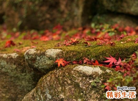 低调有内涵的经典网名，微信昵称闭上眼睛说爱你