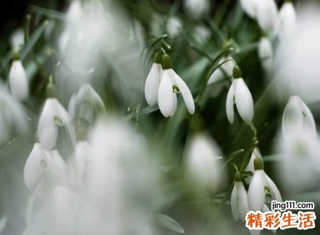 心态好成熟稳定的微信网名，最吸引异性的微信佛系昵称