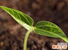 优雅大气有品位的高端网名，有诗意的抖音最火昵称