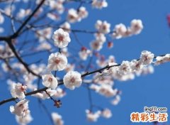 有意境好听的古风名字，淡雅唯美的大气微信网名