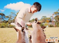 小清新有些蠢萌的男生网名，简短爱情昵称想和你过一辈子