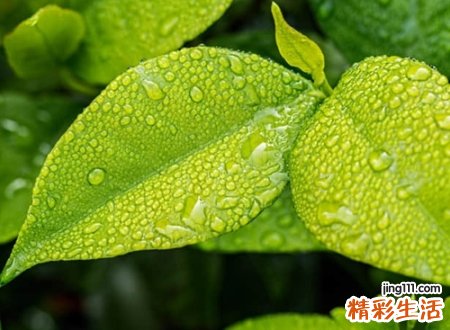 静心简单有深意励志网名，激励自己的网名告诉自己要坚强