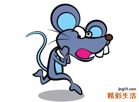 梦见老鼠，女人梦见老鼠跑来跑去