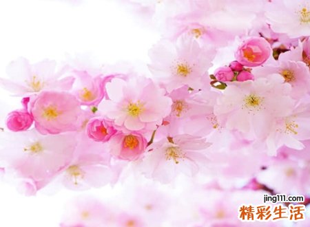 感情结束分手后心疼的伤感名字，颓废网名你累了我也累了