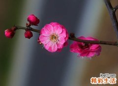 霸气冷酷好听的个性名字，微信短网名超拽另类带符号