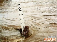 梦见特大洪水滚滚而来，女人梦见发好大洪水