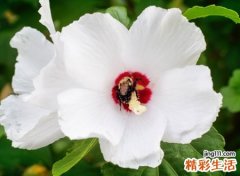 有关倾城最撩人的网名，含有倾城最勾人的个性昵称