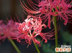 非常好听让人难忘的网名，好听稳重成熟的微信名