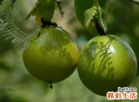 好听的英文网名带翻译,简单干净全网最火的英文昵称