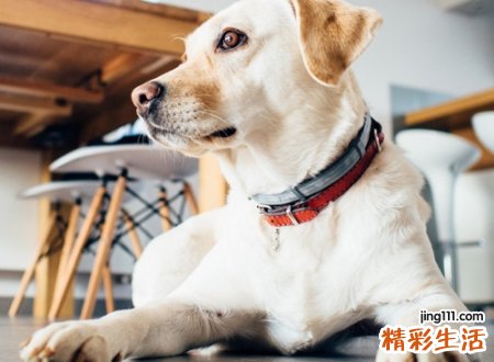 最好听的qq名字，时尚界奶凶奶凶可爱网名